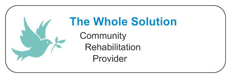 whole solution logo